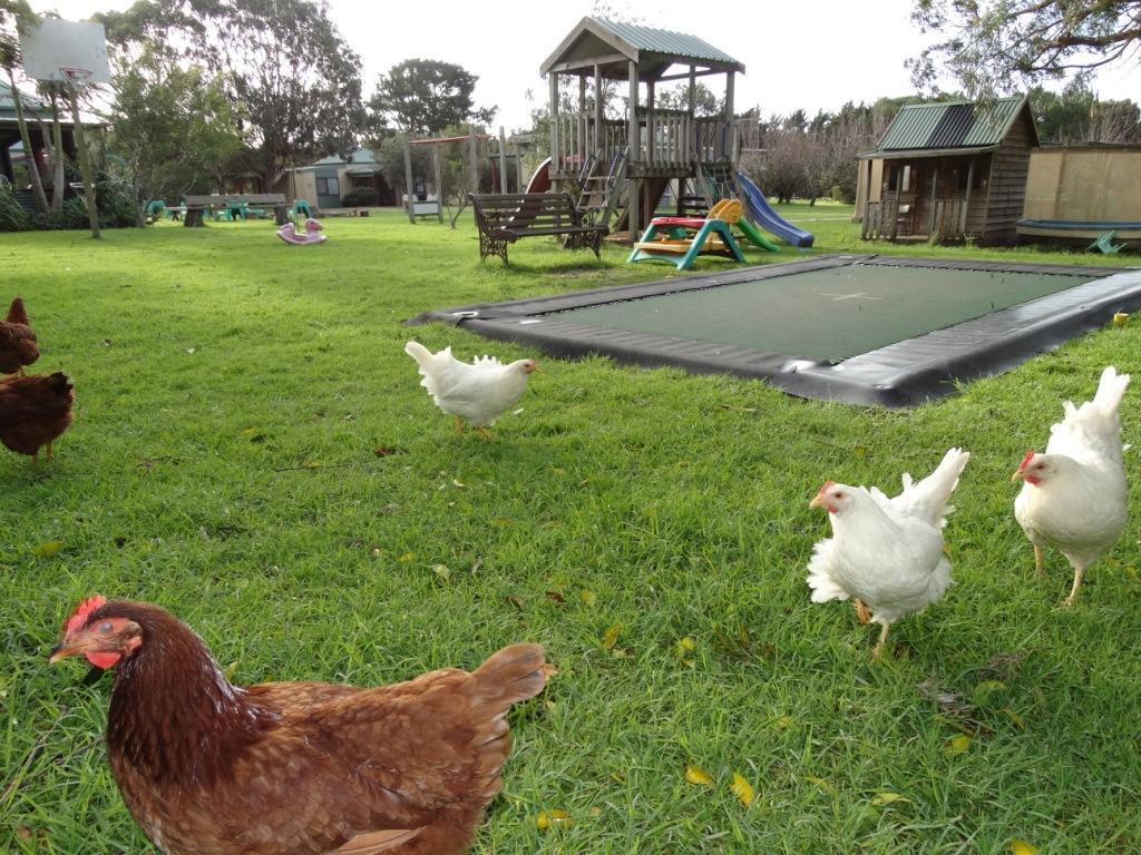 Ripples N Tonic Farmstay Ventnor Zewnętrze zdjęcie